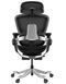 Ергономічне крісло HINOMI H2 PRO COAL BLACK 03424 фото 4