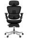 Ергономічне крісло HINOMI H2 PRO COAL BLACK 03424 фото 3