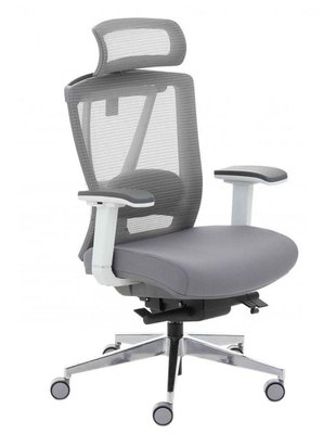 Ергономічне крісло ERGO CHAIR 2 GREY 113335 фото