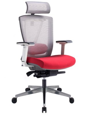 Ергономічне крісло ERGO CHAIR 2 RED 113957 фото