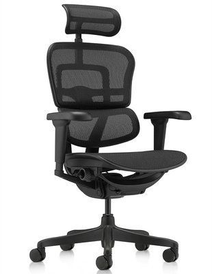 Ергономічне крісло ERGOHUMAN ULTRA ALL BLACK (EHU-BB-HAM-4D, сітка T-168-B1 BLACK) 03220 фото