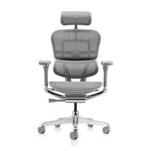 Ергономічне крісло ERGOHUMAN LUXURY 2 (EHL2-AG-HAM-5D-L, сітка Т-168-B2 Natural) 113906 фото
