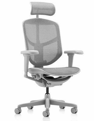 Ергономічне крісло ENJOY ULTRA (EJU-G-HAM-4D, сітка T-168-B2 NATURAL) 116985 фото