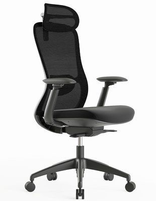 Ергономічне крісло KRESLALUX SILKY GHB BLACK 03152 фото