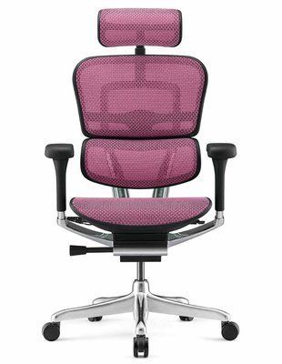 Ергономічне крісло ERGOHUMAN LUXURY 2 (EHL2-AB-HAM-5D-E-L, сітка Т-168-B5 Pink) 113906 фото