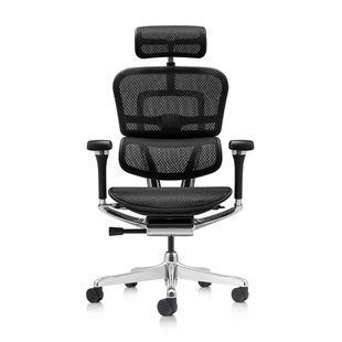 Ергономічне крісло ERGOHUMAN LUXURY 2 (EHL2-AB-HAM-5D-E-L, сітка Т-168-B1 Black) 113906 фото