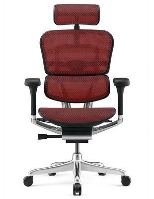 Ергономічне крісло ERGOHUMAN LUXURY 2 (EHL2-AB-HAM-5D-E-L, сітка Т-168-B3 Scarlet) 113906 фото