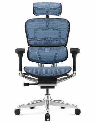 Ергономічне крісло ERGOHUMAN LUXURY 2 (EHL2-AB-HAM-5D-E-L, сітка Т-168-B4 Cobalt) 113906 фото