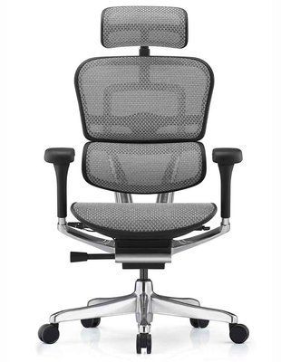 Ергономічне крісло ERGOHUMAN ELITE 2 (EHE2-AB-HAM-5D-L, сітка T-168-B2 Natural) 02737-1 фото