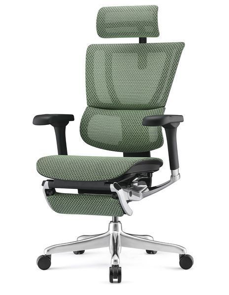 Крісло MIRUS-IOO 2 (IOOE2-AB-HAM-5D-L-LMT, СІТКА Т-168-B6-GREEN), ергономічне, з підставкою під ноги 1161164 фото