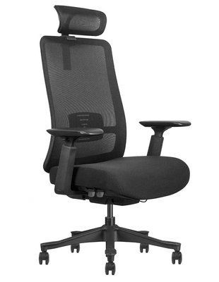 Ергономічне крісло KRESLALUX V1-BH BLACK 03066-2 фото