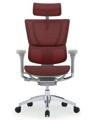 Ергономічне крісло MIRUS-IOO 2 (IOOE2-AG-HAM-5D-L, сітка T-168-B3 Scarlet) 113960 фото