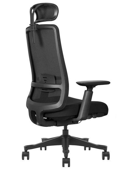 Ергономічне крісло KRESLALUX V1-BH BLACK 03066-2 фото