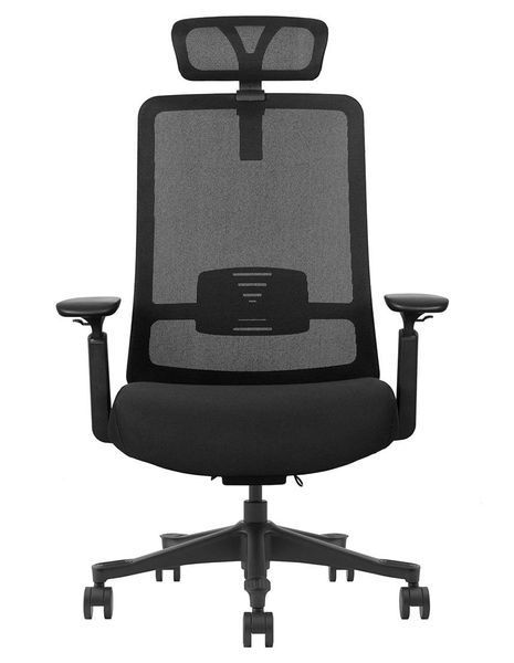 Ергономічне крісло KRESLALUX V1-BH BLACK 03066-2 фото