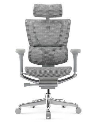 Ергономічне крісло MIRUS-IOO 2 (IOOE2-AG-HAM-5D-L, СІТКА Т-168-B2 NATURAL) 113960 фото