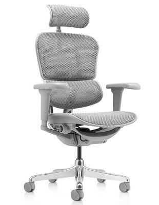 Ергономічне крісло ERGOHUMAN ULTRA (EHU-AG-HAM-4D, сітка T-168-B2 NATURAL) 116983 фото