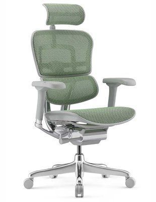 Ергономічне крісло ERGOHUMAN LUXURY 2 (EHL2-AB-HAM-5D-E-L, сітка Т-168-B6 Green) 113909-2 фото