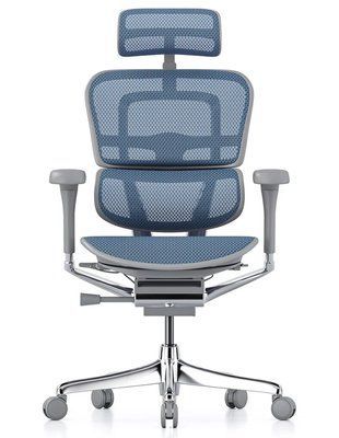 Ергономічне крісло ERGOHUMAN LUXURY 2 (EHE2-AG-HAM-5D-L, сітка T-168-B4 Cobalt) 113900-2 фото